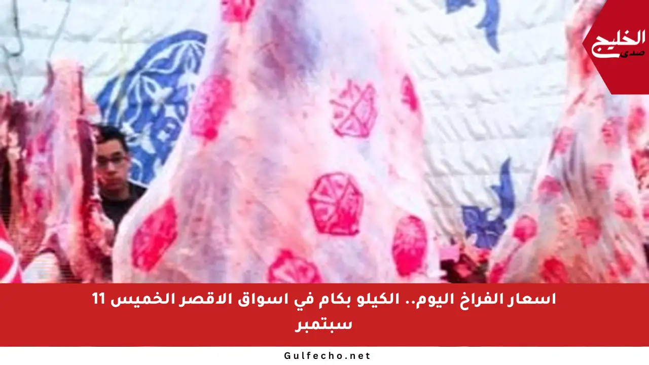 أسعار الفراخ اليوم.. الكيلو بكام في أسواق الأقصر الخميس 11 سبتمبر